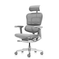 Ортопедическое кресло Falto Ergohuman Luxury 2 Серое Ортопедическое кресло Falto Ergohuman Luxury 2 Серое